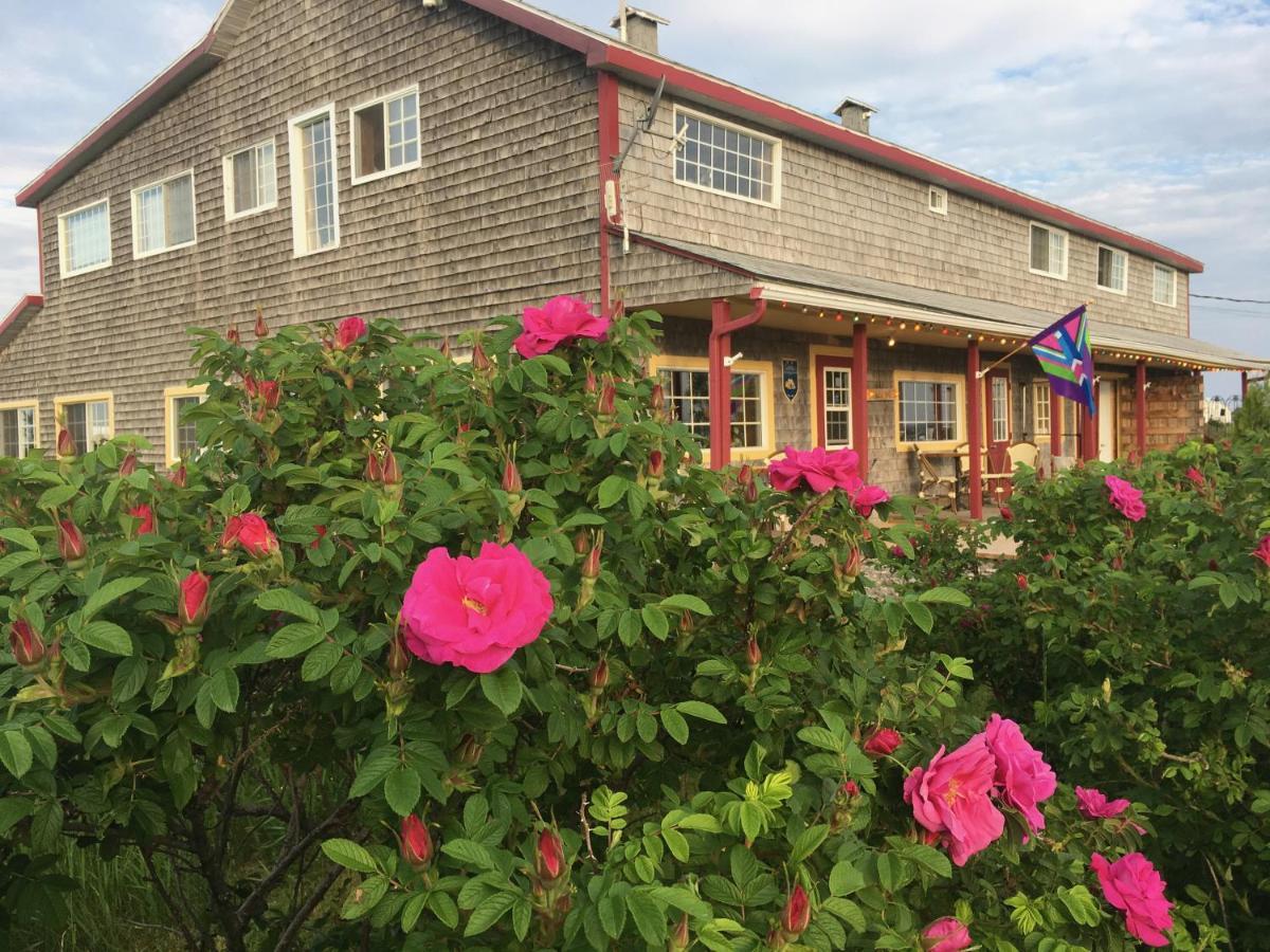 Auberge Cafe Acadien 보나벤투라 외부 사진